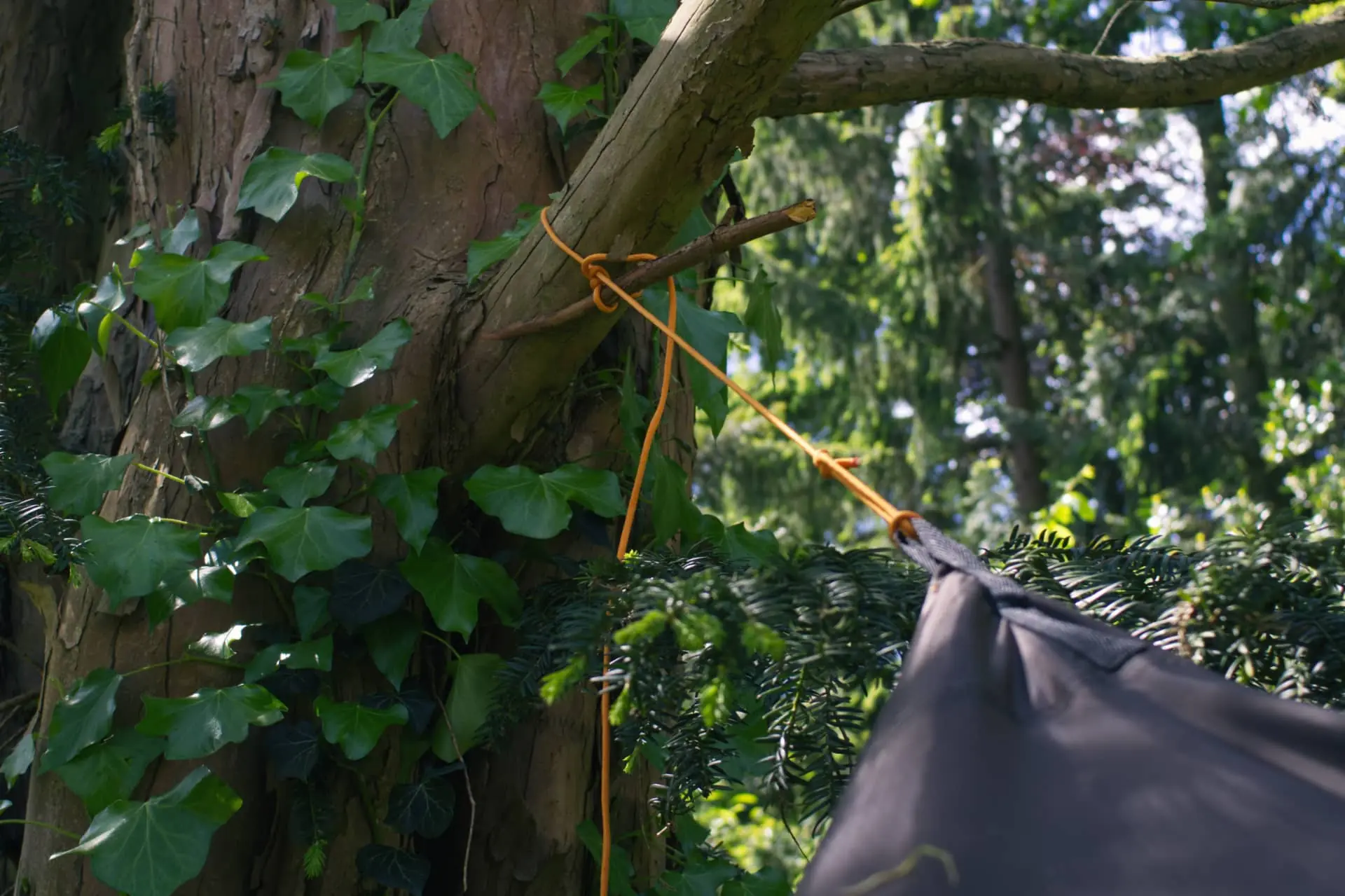 Nudo de liberación rápida para una lona en forma de diamante durante el curso de bushcraft impartido por Outdoor Heroes.