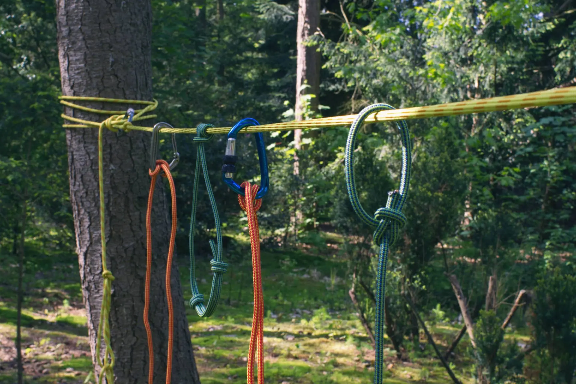 Verschillende survival en bushcraft knopen op de survival cursus over touwtechnieken en shelters.