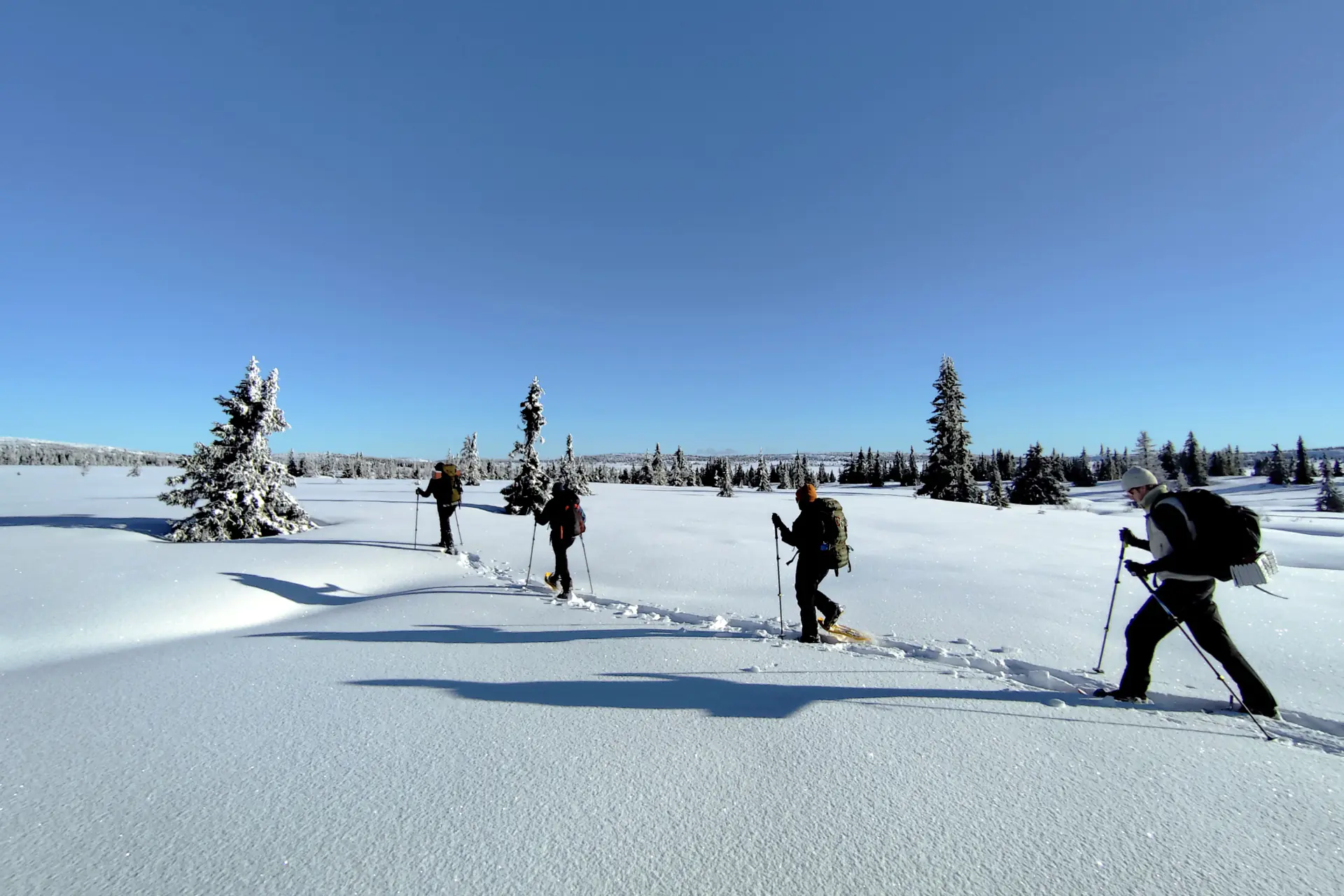 Expedición invernal fuera de la oficina para lograr transformaciones en el liderazgo y la cohesión del equipo.